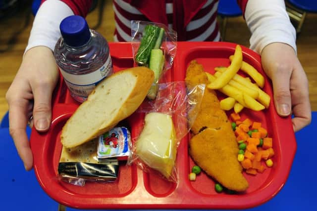School dinners shoult not contain processed meat, says Steve Cardownie. Picture: Ian Rutherford
